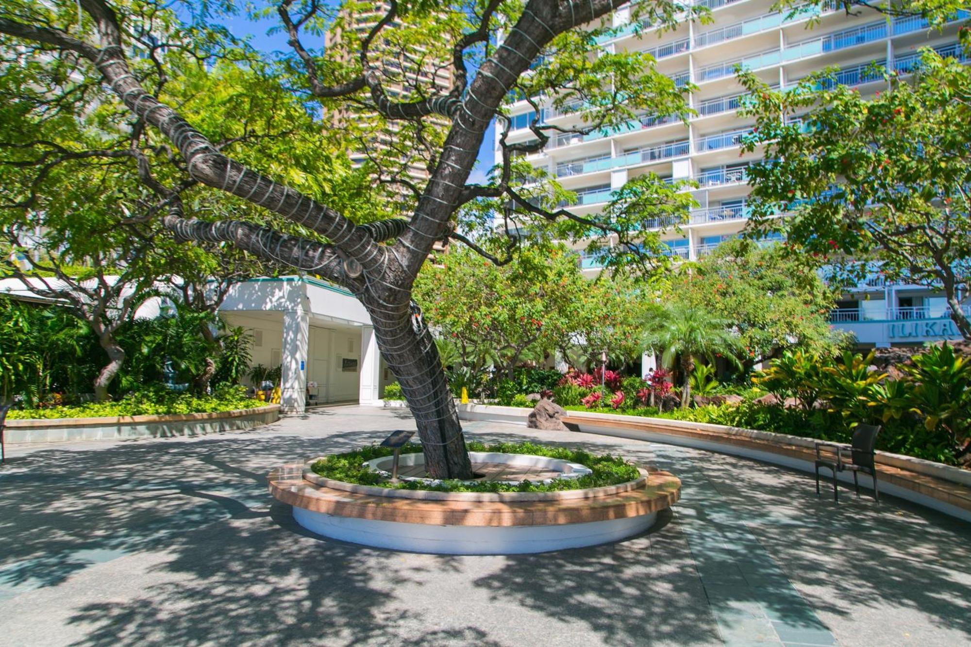 Ilikai Tower 2109 City View 2Br Honolulu Dış mekan fotoğraf